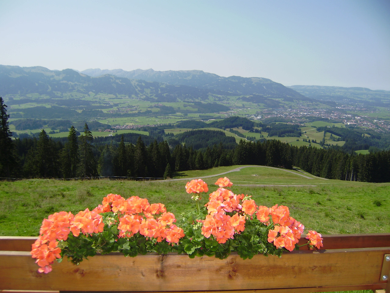 Balkonblumen mit Allgäuer Alpen im Hintergrund | Berggasthof Sonne Imberg in Sonthofen